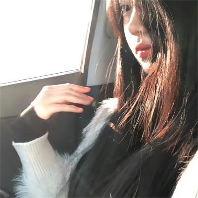 恶犬之下
