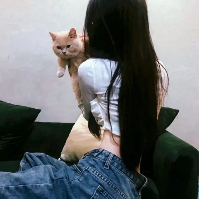 派特森与芬达猫4